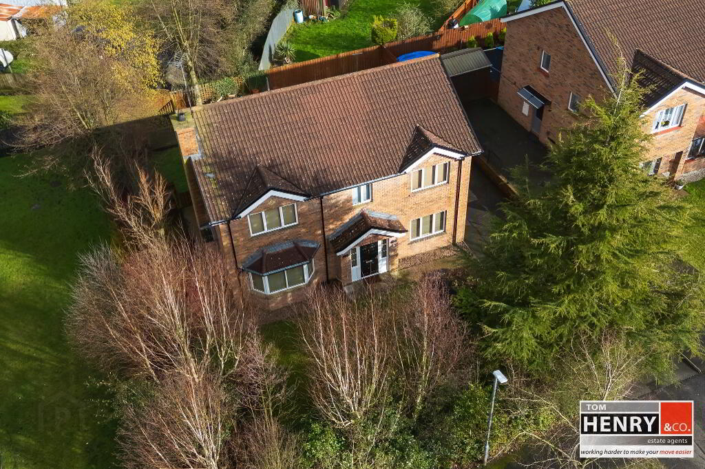 45 Hollyfields, Old Eglish Road, Dungannon, BT71 7BH