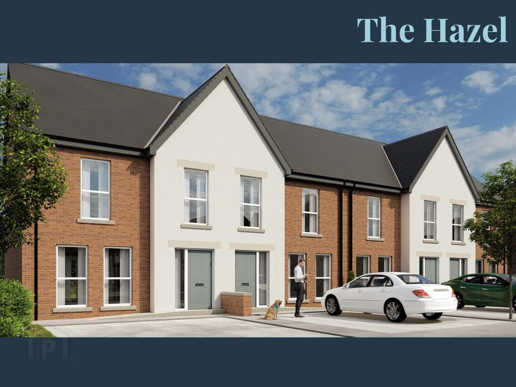 Phase 5 - Hazel, High Trees, Donaghadee