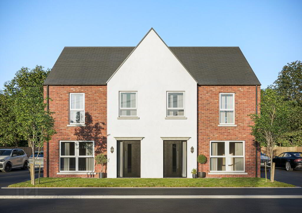 The Elder, Mill Bank Park, Roe Mill Road, Limavady